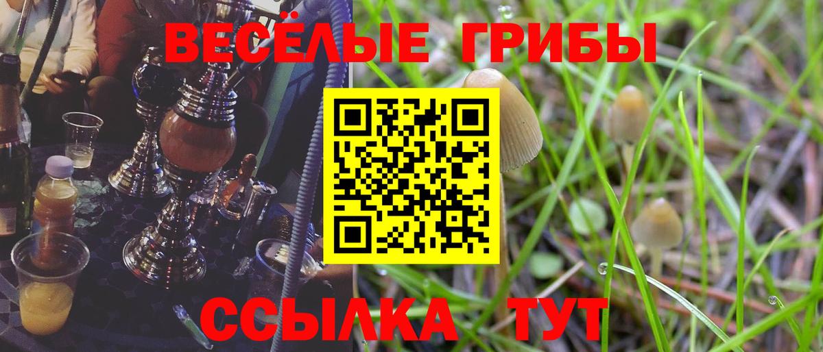 Галлюциногенные грибы MAGIC MUSHROOMS Грязи